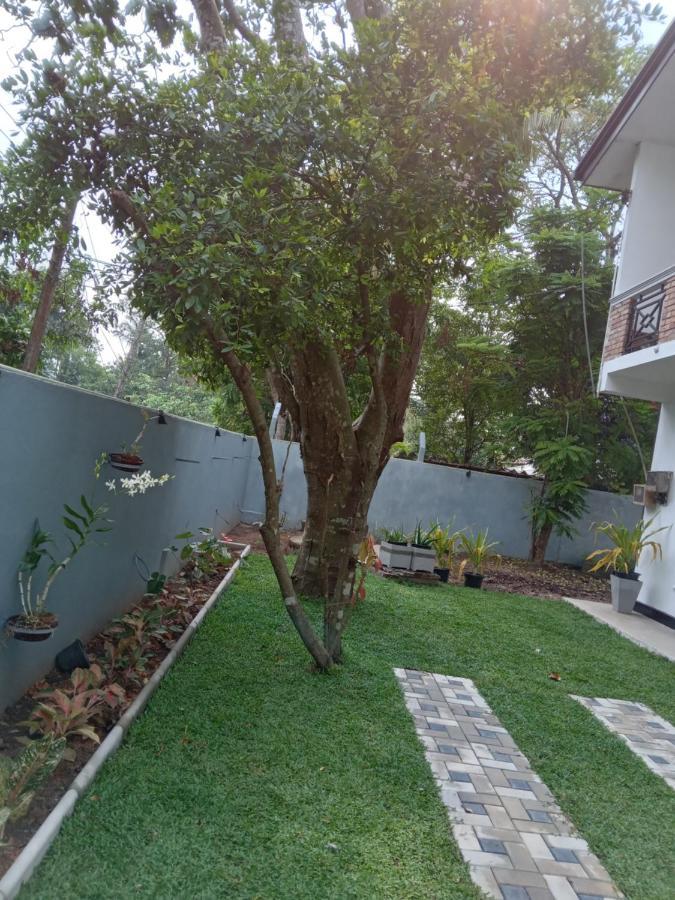 Sky Bloom Bed and Breakfast Homagama Esterno foto