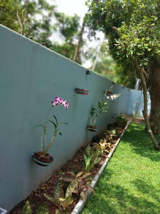 Sky Bloom Bed and Breakfast Homagama Esterno foto